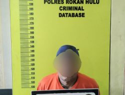 Sekap Dan Setubuhi Anak Di Bawah Umur, Kakek Berumur 66 Tahun Diciduk Personil Sat Reskrim Polres Rohul