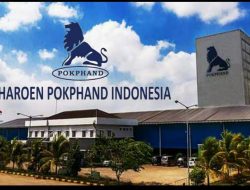 Perusahaan Pakan Ternah Asal Thailand Kuasai Pasar Indonesia