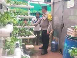 Patroli Dialogis Bhabinkamtibmas Johar Baru  Cek Ketahanan Pangan Hidroponik Tanaman Pokcay RW 03