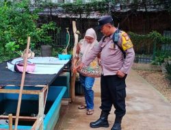 Pemantauan Ketahanan Pangan RPTRA Gondangdia Menteng