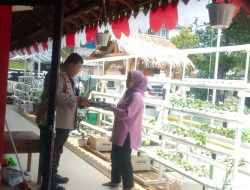 Bhabinkamtibmas Petamburan Tinjau  Ketahanan Pangan Tanaman Hidroponik Dan Budidaya Lele Di RPTRA RT 03/11