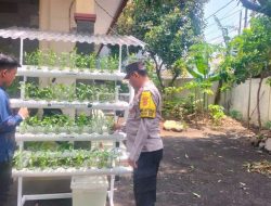 Pemantauan Bhabinkamtibmas Johar Baru pada Program Hidroponik untuk Ketahanan Pangan yang Lebih Mandiri