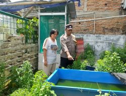 Bhabinkamtibmas Johar Baru Patroli Wilayah dan Sambang Dialog dengan Warga Penggiat Budidaya Ikan Air Tawar Program Ketahanan Pangan