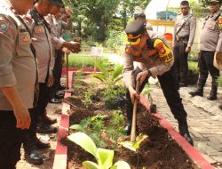 Kapolsek Kemayoran Tinjau Langsung Ketahanan Pangan Di Taman Toga Kelurahan Kebon Kosong Kecamatan Kemayoran Jakarta Pusat
