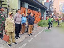 Kerja Sama Tiga Pilar dalam Menanggulangi Dampak Pohon Roboh Pasca Hujan di RW 02 Tanah Tinggi