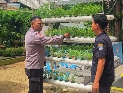 Bhabinkamtibmas Benhil Monitoring Ketahanan Pangan Hidroponik RPTRA Melati RT 02/04