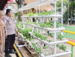 Bhabinkamtibmas Petamburan Monitoring Ketahanan Pangan Hidroponik RPTRA