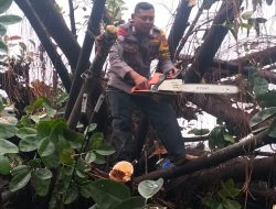 Aksi Heroik Bhabinkamtibmas Jatiwaringain Bripka Wardoyo Evakuasi Korban dan Pohon Tumbang di Pondok Gede