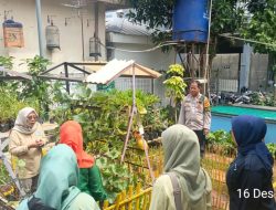 Panen Melon di RPTRA Jaya Molek Pasar Baru Bersama Tiga Pilar