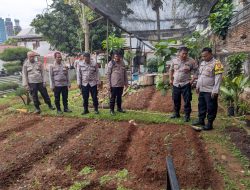 Kasat Binmas Polres Metro Jakarta Pusat Pantau Lahan Ketahanan Pangan Polsek Metro Gambir