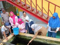 Panen Bersama: Bhabinkamtibmas, Lurah, Satpol PP, dan PKK Menguatkan Ketahanan Pangan dengan Hidroponik dan Budidaya Ikan Air Tawar