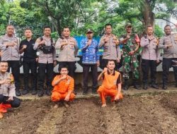 Polsek Cempaka Putih Laksanakan Penanaman Jagung Dalan Rangka Mendukung Program Ketahanan Pangan