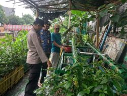 Sambang Bhabinkamtibmas Tanaman Hidroponik Kelurahan Cikini Menteng