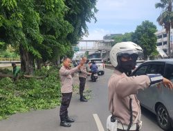 Bhabinkamtibmas Pasar Baru Amankan Lalu Lintas Akibat Dahan Pohon Tumbang