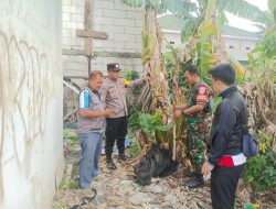 Bhabinkamtibmas dan Babinsa Desa Pasirsari Amankan 5 Bilah Senjata Tajam Diduga untuk Aksi Tawuran