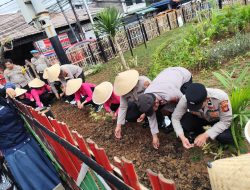Bersama Ibu-ibu Bhayangkari Polsek Johar Baru, Wujudkan Ketahanan Pangan Lewat Bercocok Tanam Jagung dan Budidaya Ikan Air Tawar