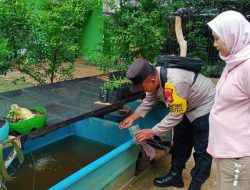 Bhabinkamtibmas Gondangdia Sambang Giat Program Pekarangan Pangan Bergizi Di RPTRA Gondangdia
