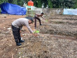 Perwira Pengendali Polsek Kemayoran Melakukan Monitoring Lahan Ketahanan Pangan Bergizi