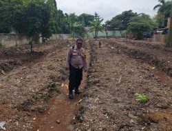 Piket Bawas Polsek Kemayoran Melakukan Monitoring Lahan Ketahanan Pangan Bergizi