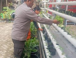 Bhabinkamtibmas Kelurahan Kebon Kelapa Monitoring Budidaya Hidroponik untuk Ketahanan Pangan
