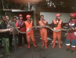 Respon Cepat Bhabinkamtibmas Polsek Sawah Besar Terhadap Pengaduan Masyarakat
