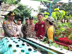 Kapolsek Metro Menteng Pemantauan Kegiatan Ketahanan Pangan Di Poktan Sehati Cikini
