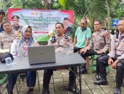 Polsek Cempaka Putih Bersama Tiga Pilar Ikuti Kegiatan Panen Raya Jagung Serentak Tahap I Melalui Live Youtube