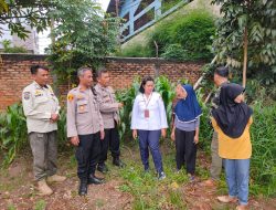 Polsek Senen Bersama Tokoh Masyarakat Panen Raya Jagung Serentak Tahap 1 Se Indonesia