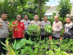 Polsek Kemayoran Bersama Warga Panen Pangan Lokal, Kapolres: Kita Jaga Ketahanan Pangan Demi Kesejahteraan Bersama!