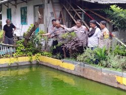 “Polsek Kemayoran Tebar Lele dan Rawat Nila! Dukung Asta Cita Presiden Lewat Ketahanan Pangan Bergizi ”