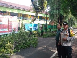Bhabinkamtibmas Pemantauan Penopingan Pohon Beringin Oleh Dinas Pertamanan di Area SDN Gondangdia 05