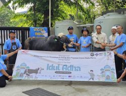 IDULADHA 2025, PAMA BERKURBAN SAPI DAN KAMBING UNTUK  MASYARAKAT DI BERBAGAI DAERAH