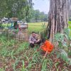 Polsek Metro Menteng Cek Lahan Produktif Jagung dan Aneka Sayur di RPTRA Borobudur