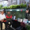 Inovasi RT di Jakarta Timur Jawab Ketahanan Ekonomi dan Ketahanan Pangan Dari Lorong Beton
