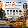 Program MBG Butuh 700 Juta Telur Ancaman atau Peluang
