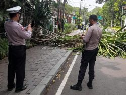 Kanit Sabhara Memberikan Pelayanan Lintasan Jalan Teuku Umar Menteng Dengan Adanya Pohon Tumbang