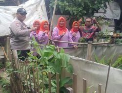 Bhabinkamtibmas Petamburan Monitoring Ketahanan Pangan Tanaman Obat Tradisional RW 07