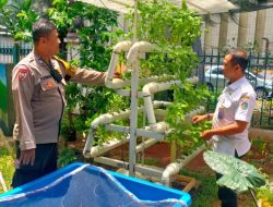 Pemantauan Ketahanan Pangan RPTRA Kelurahan Kebon Sirih Menteng