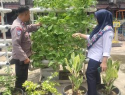 Bhabinkamtibmas Benhil Monitoring Ketahanan Pangan Hidroponik RPTRA Rusun Benhil II