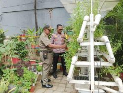 Bhabinkamtibmas Kampung Rawa Bersama Satpol. PP, Monitoring Ketahanan Pangan Budidaya Tanaman Hidroponik Pokcoy dan Kangkung