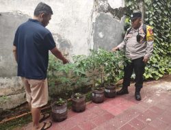 Bhabinkamtibmas Gondangdia Sambang Warga Untuk Memanfatkan Pekarangan Pangan Bergizi