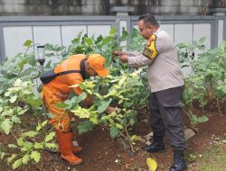Pengecekan Lahan Ketahanan Pangan oleh Bhabinkamtibmas
