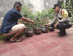 Bhabinkamtibmas Gondangdia Sambang Warga Untuk Memanfatkan Pekarangan Pangan Bergizi