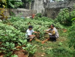 Pembinaan lahan pekarangan ketahanan pangan, Bhabinkamtibmas serahkan bibit tanaman ke Poktan
