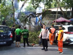 Kapolsubsektor Latuharhari Bersama Petugas Pertamanan Membantau Penanganan Pohon Tumbang Di Taman Sunda Kelapa