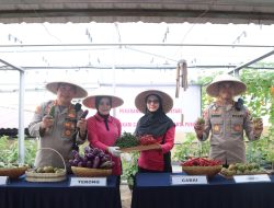 Kapolres Metro Jakarta Pusat Panen Sayur Bersama Bhayangkari di Rooftop Mapolres