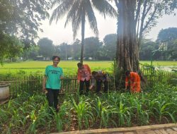 Bhabinkamtibmas Rawat Ketahanan Pangan, Jagung dan Sayuran Tumbuh Subur di Lapangan Borobudur