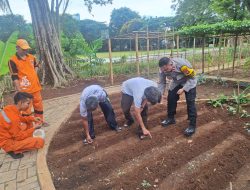 Bhabinkamtibmas Pegangsaan Dorong Ketahanan Pangan Lewat Giat Penanaman Jagung di RPTRA Borobudur